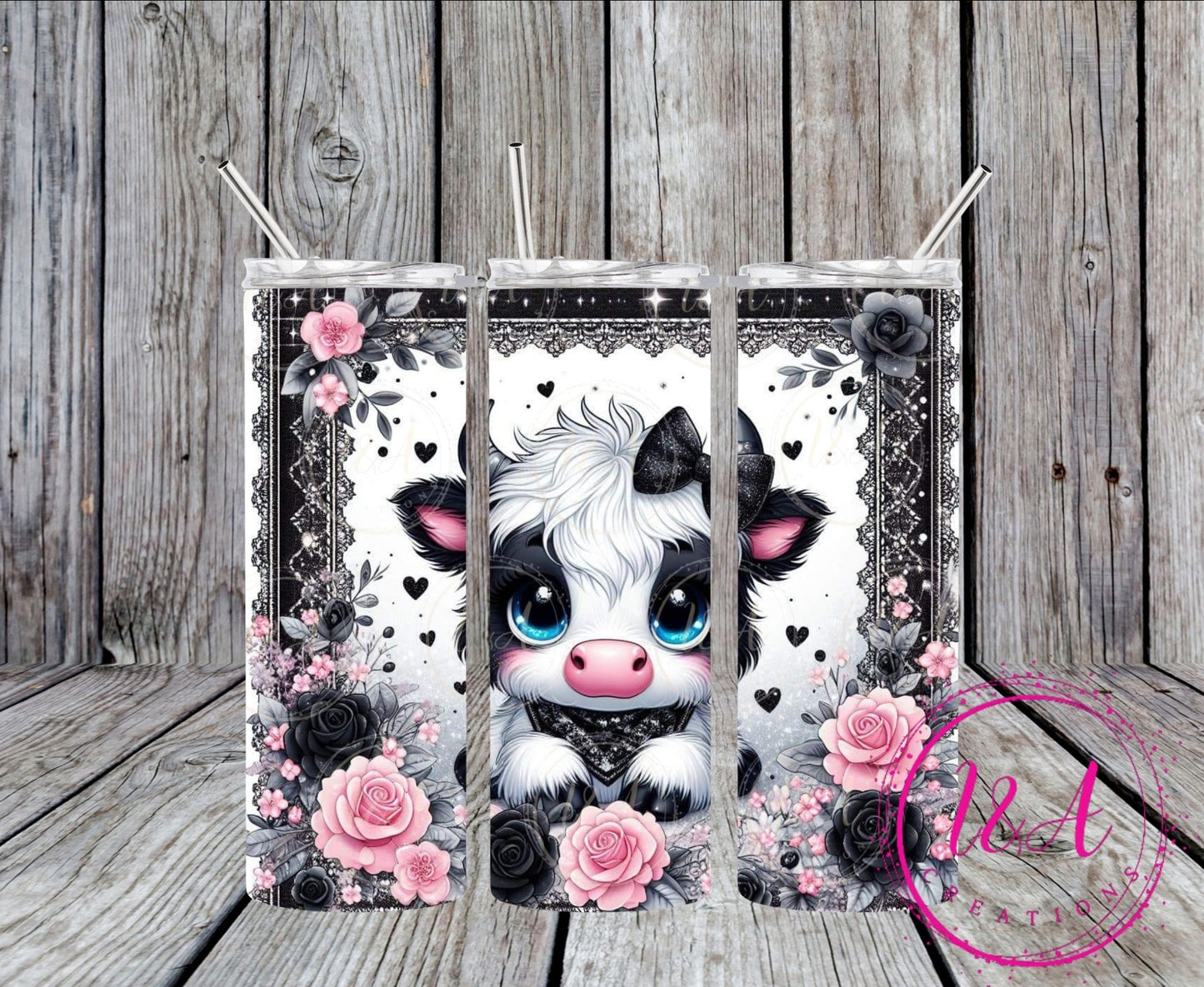 Black and white highland cow