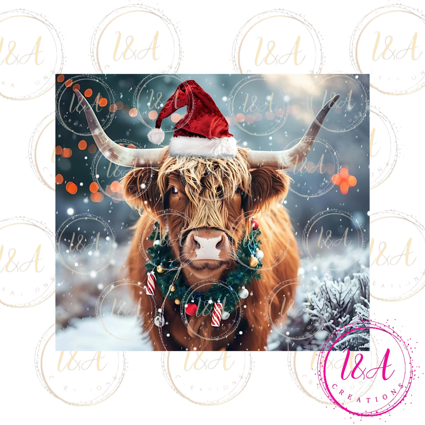 Highland cow