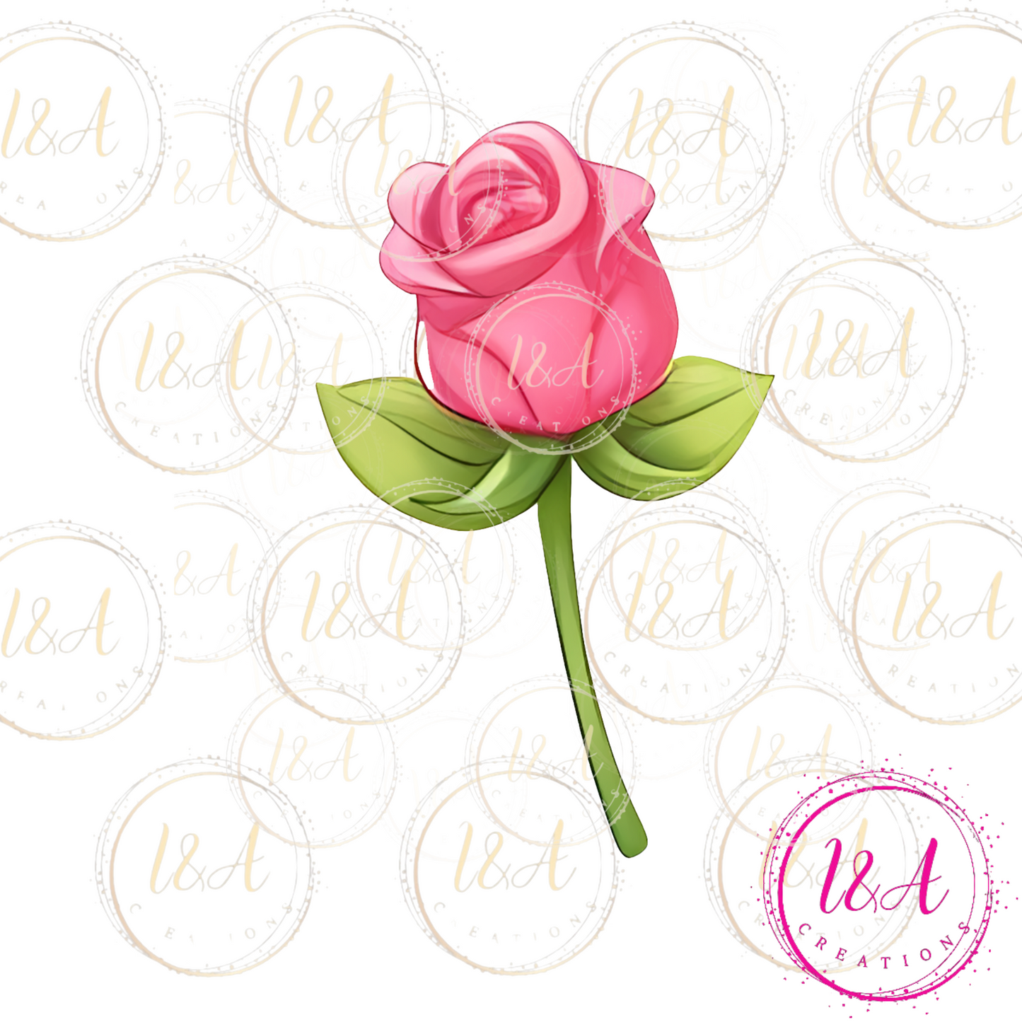 #509 rose