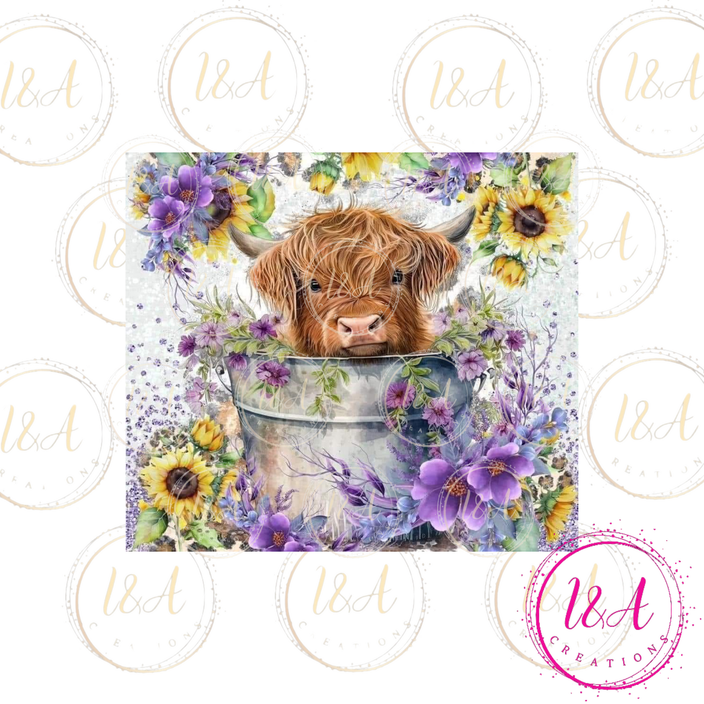 Cute Highland cow