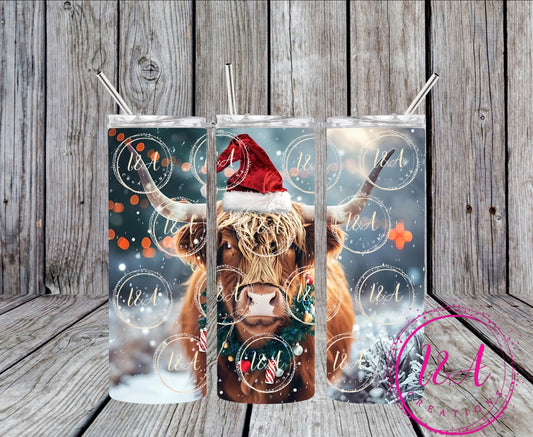 Highland cow