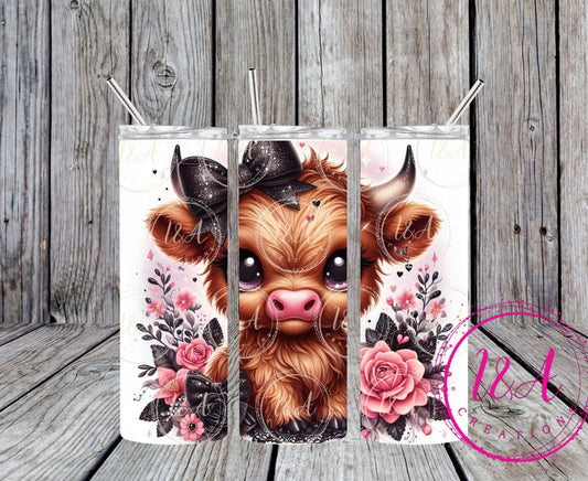 Highland cow