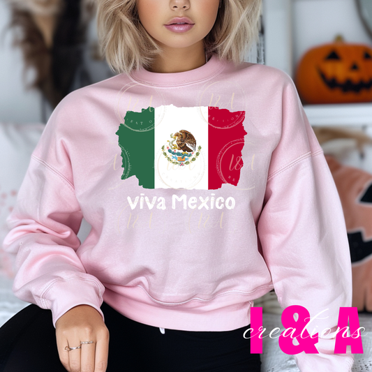 #64B Mexico flag