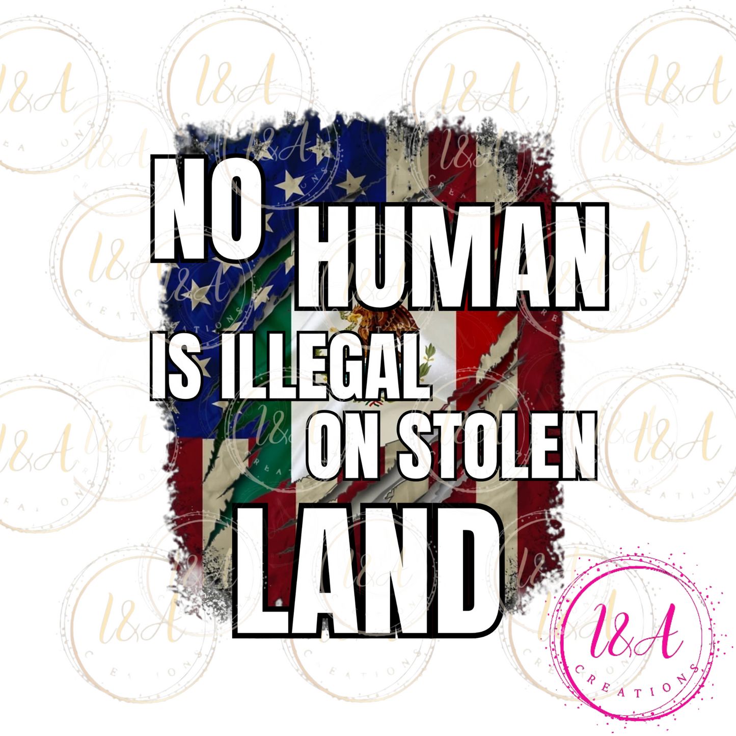#725B No human is illegal on stolen land