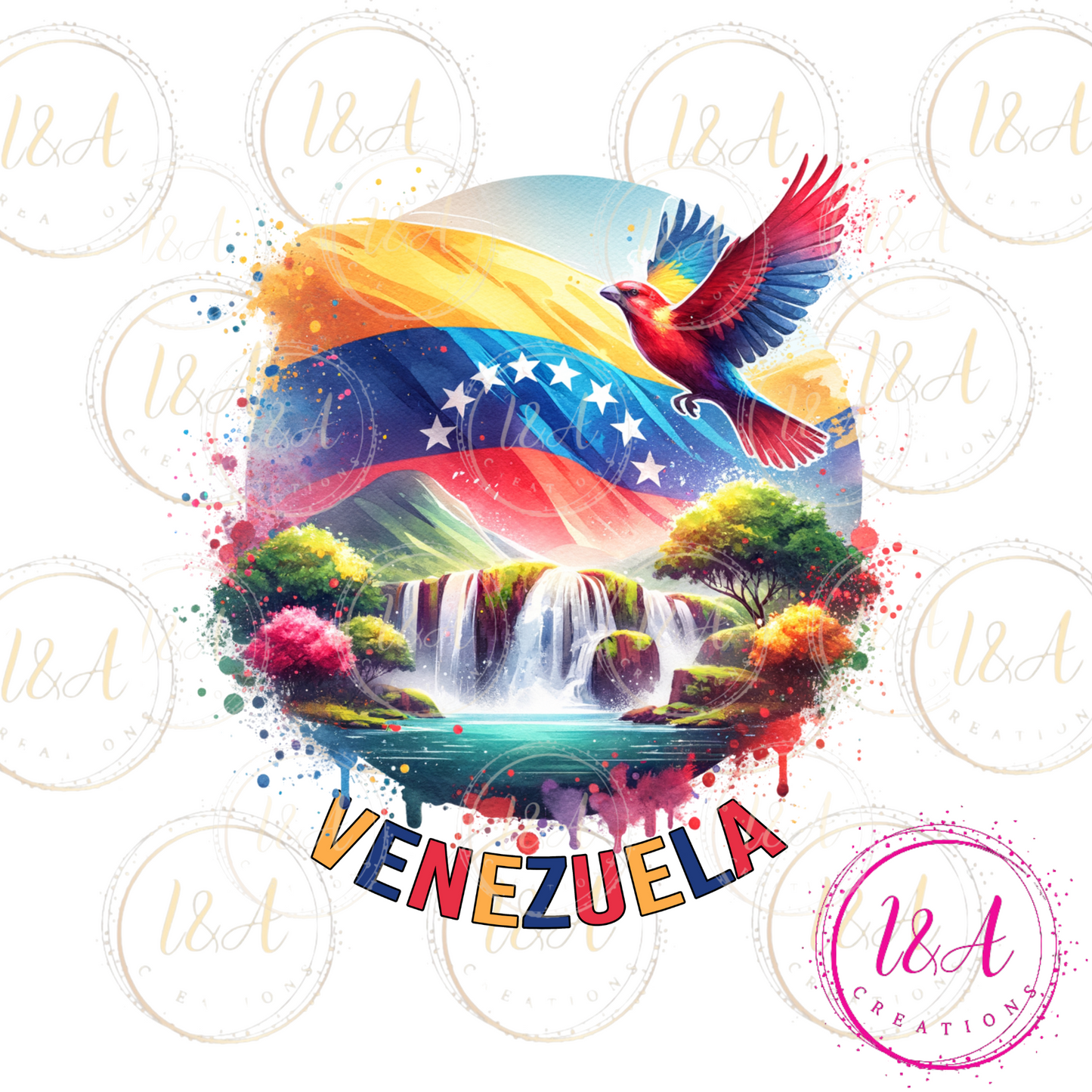 #503B Venezuela