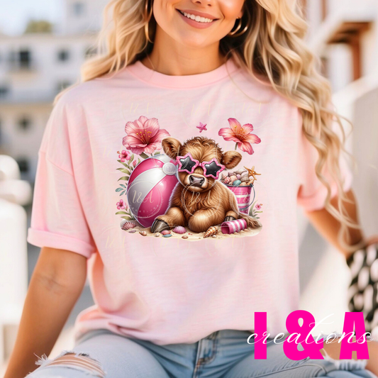 #536 Highland cow with pink ball