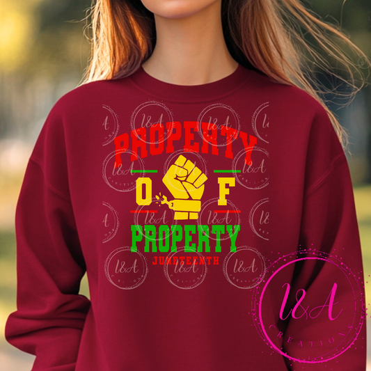 #785 property