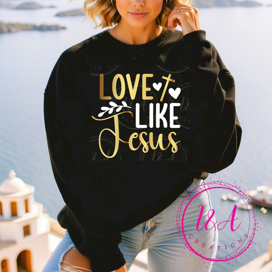 #317B love like Jesus
